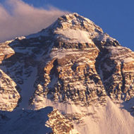 Coaching im 21. Jahrhundert